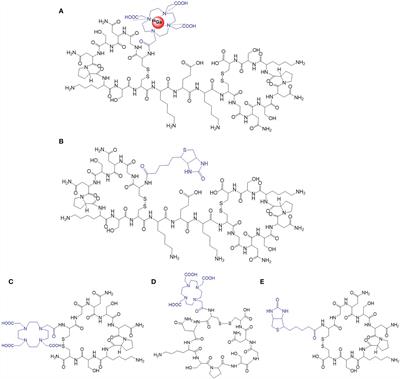 68Ga-Labeled GX1 Dimer: A Novel Probe for PET/Cerenkov Imaging Targeting Gastric Cancer